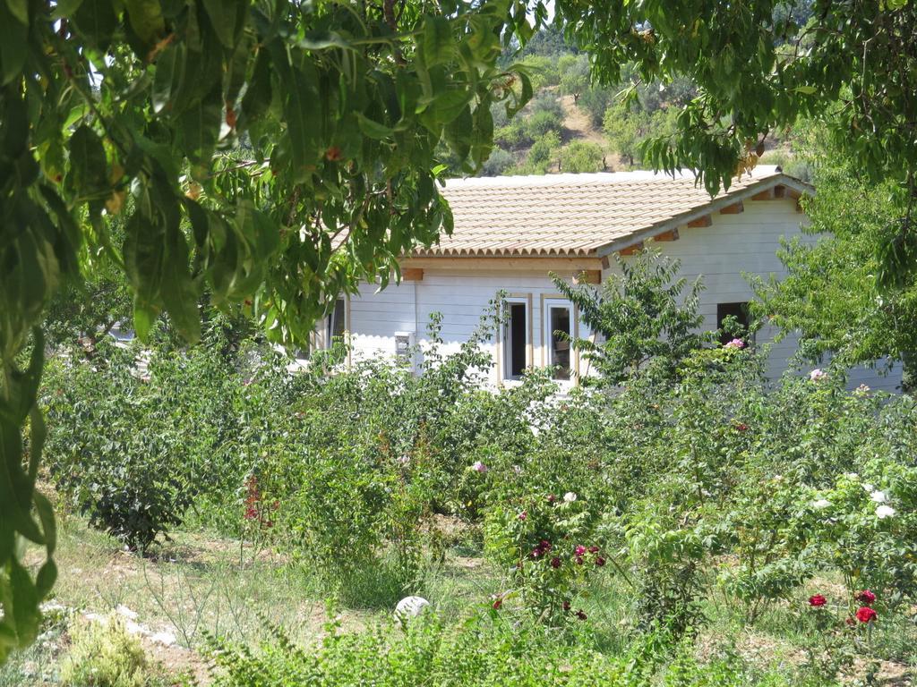 Camping Fiori Di نوتو الغرفة الصورة