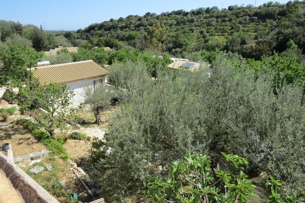Camping Fiori Di نوتو المظهر الخارجي الصورة