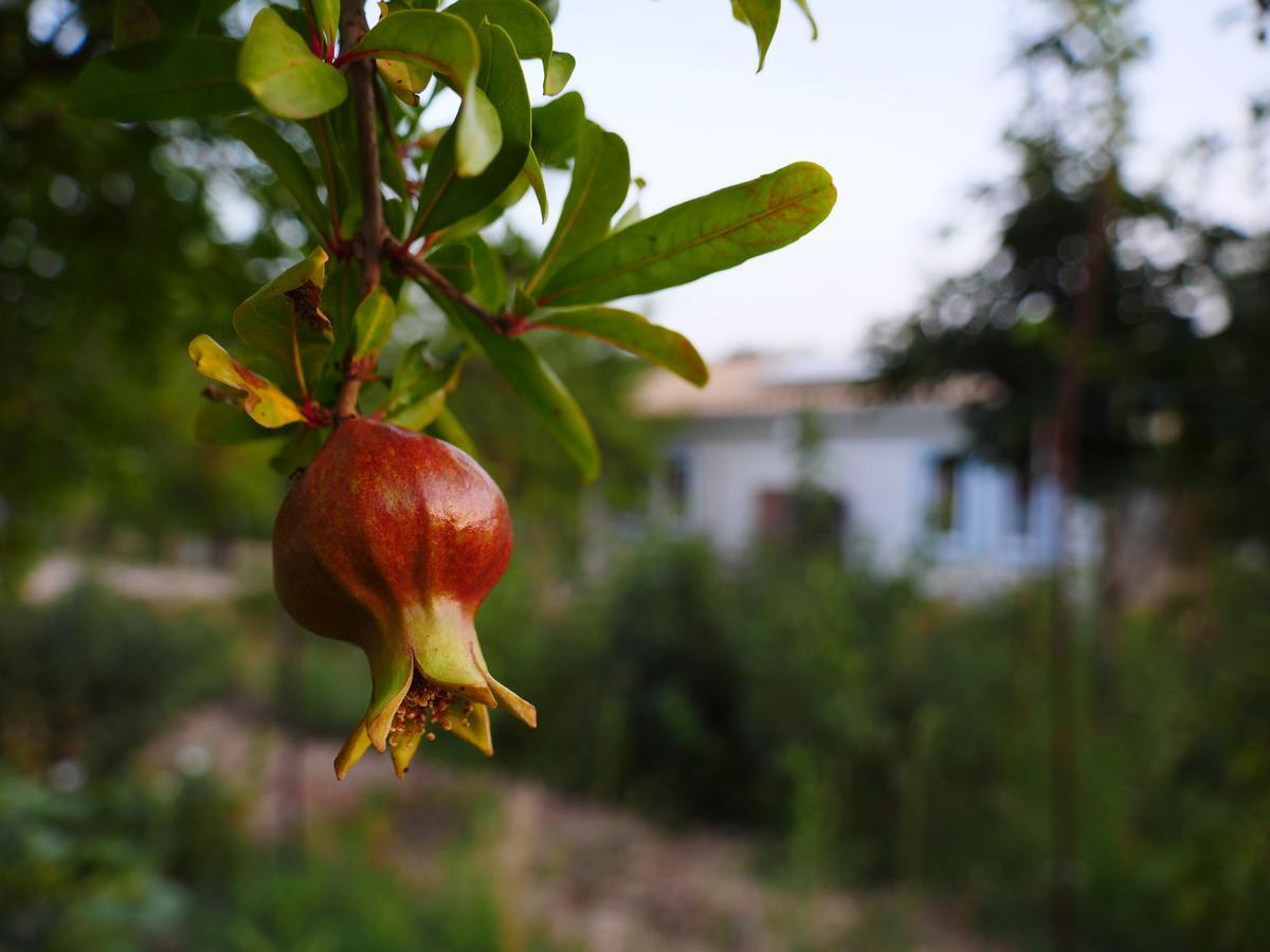Camping Fiori Di نوتو المظهر الخارجي الصورة