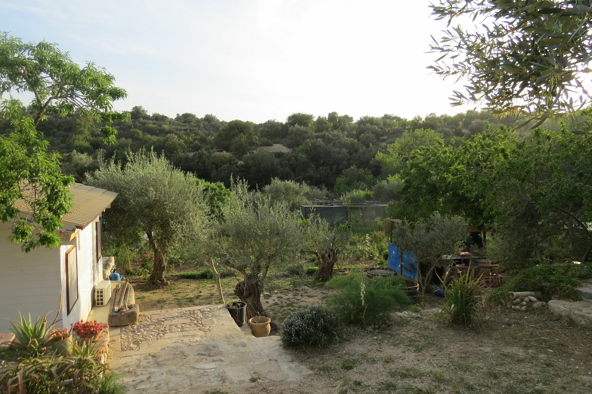 Camping Fiori Di نوتو المظهر الخارجي الصورة