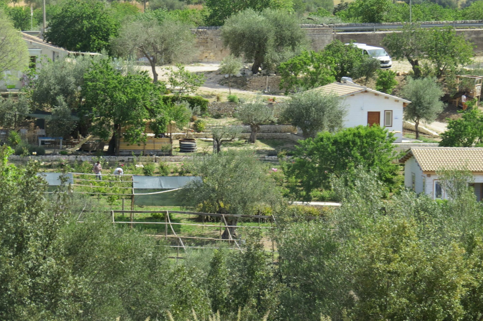 Camping Fiori Di نوتو المظهر الخارجي الصورة