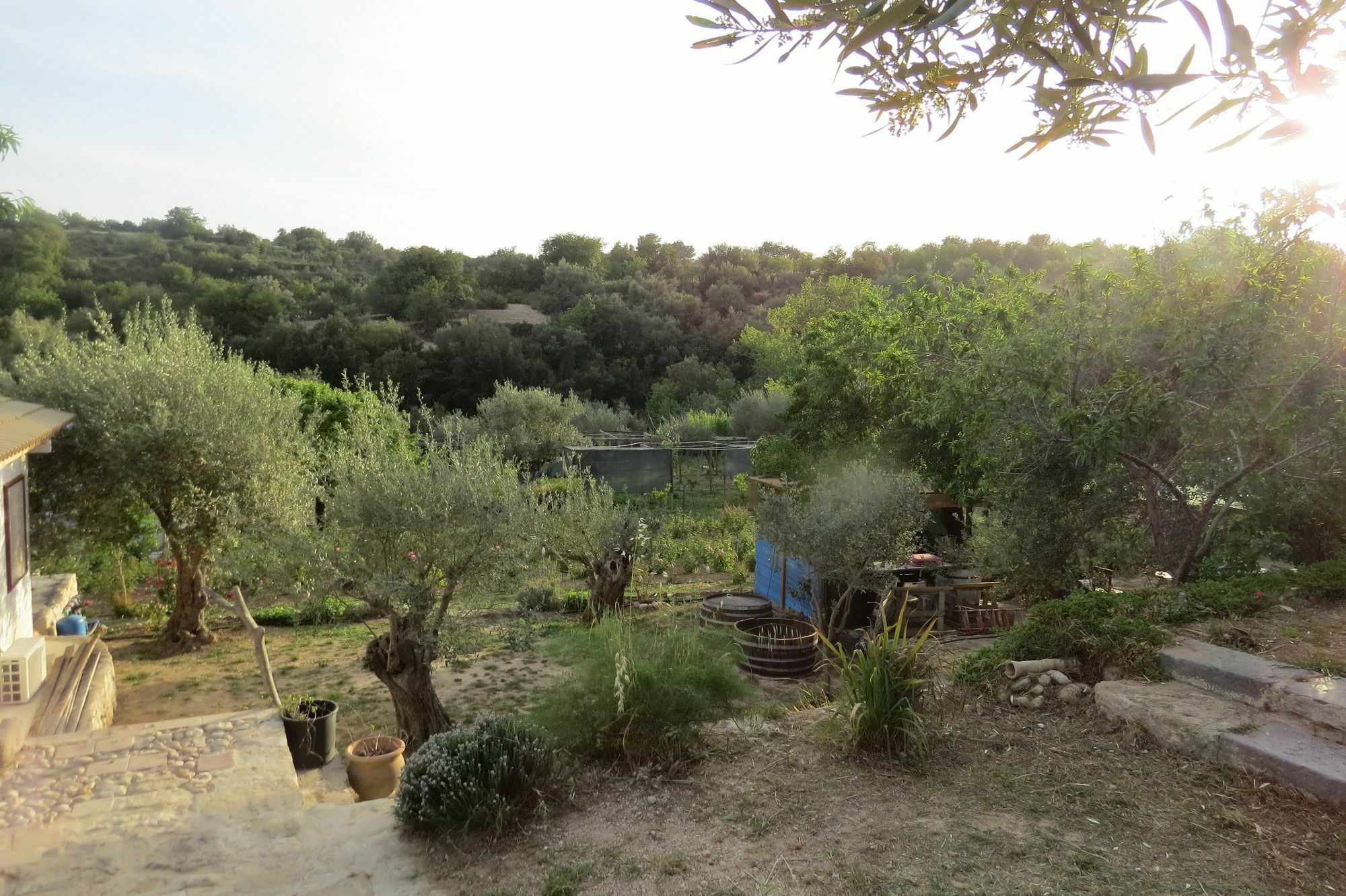 Camping Fiori Di نوتو المظهر الخارجي الصورة