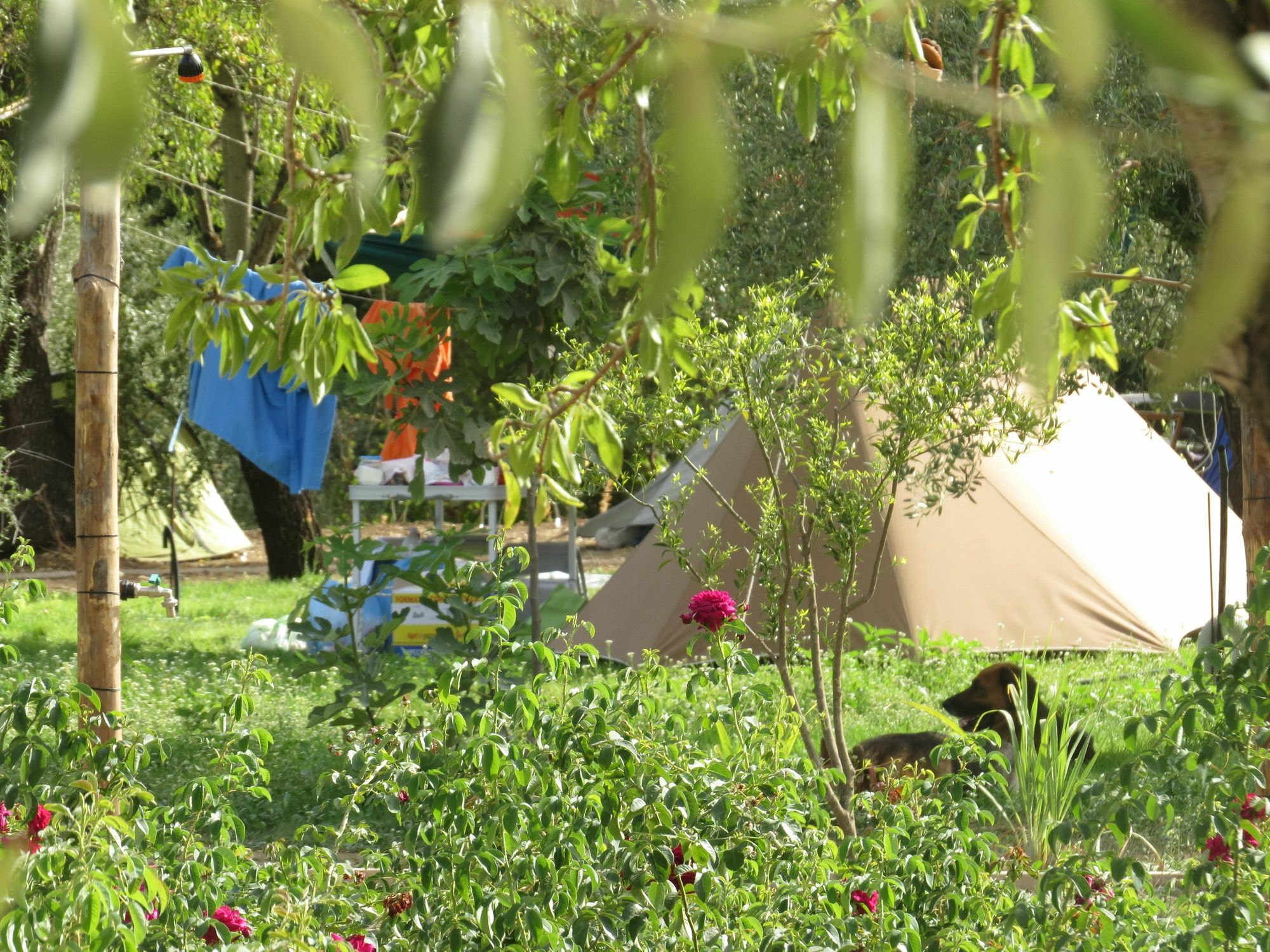 Camping Fiori Di نوتو المظهر الخارجي الصورة