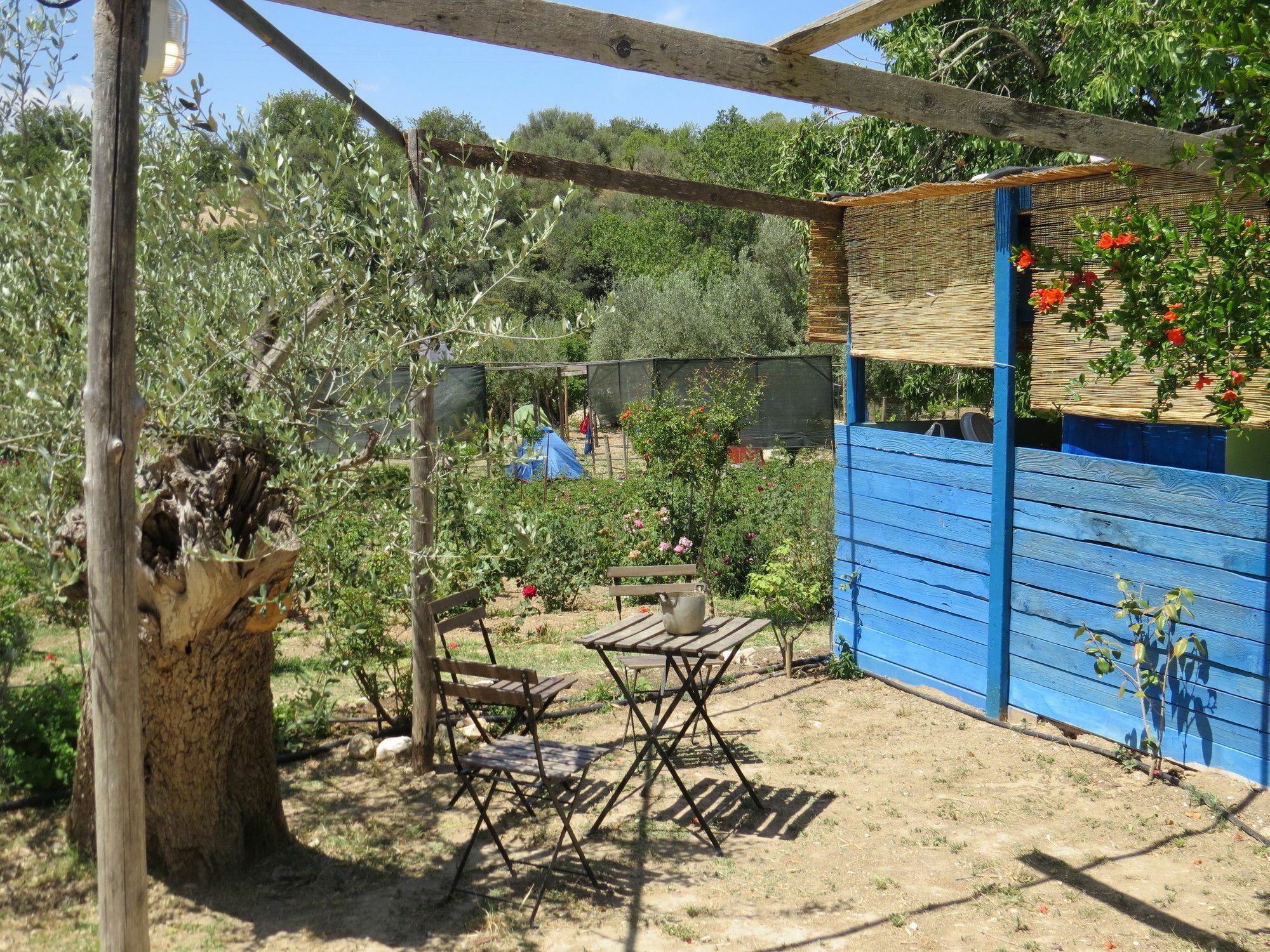 Camping Fiori Di نوتو المظهر الخارجي الصورة